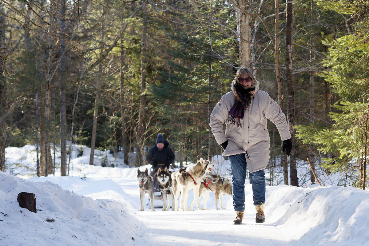 Traineau - Michel Paquin