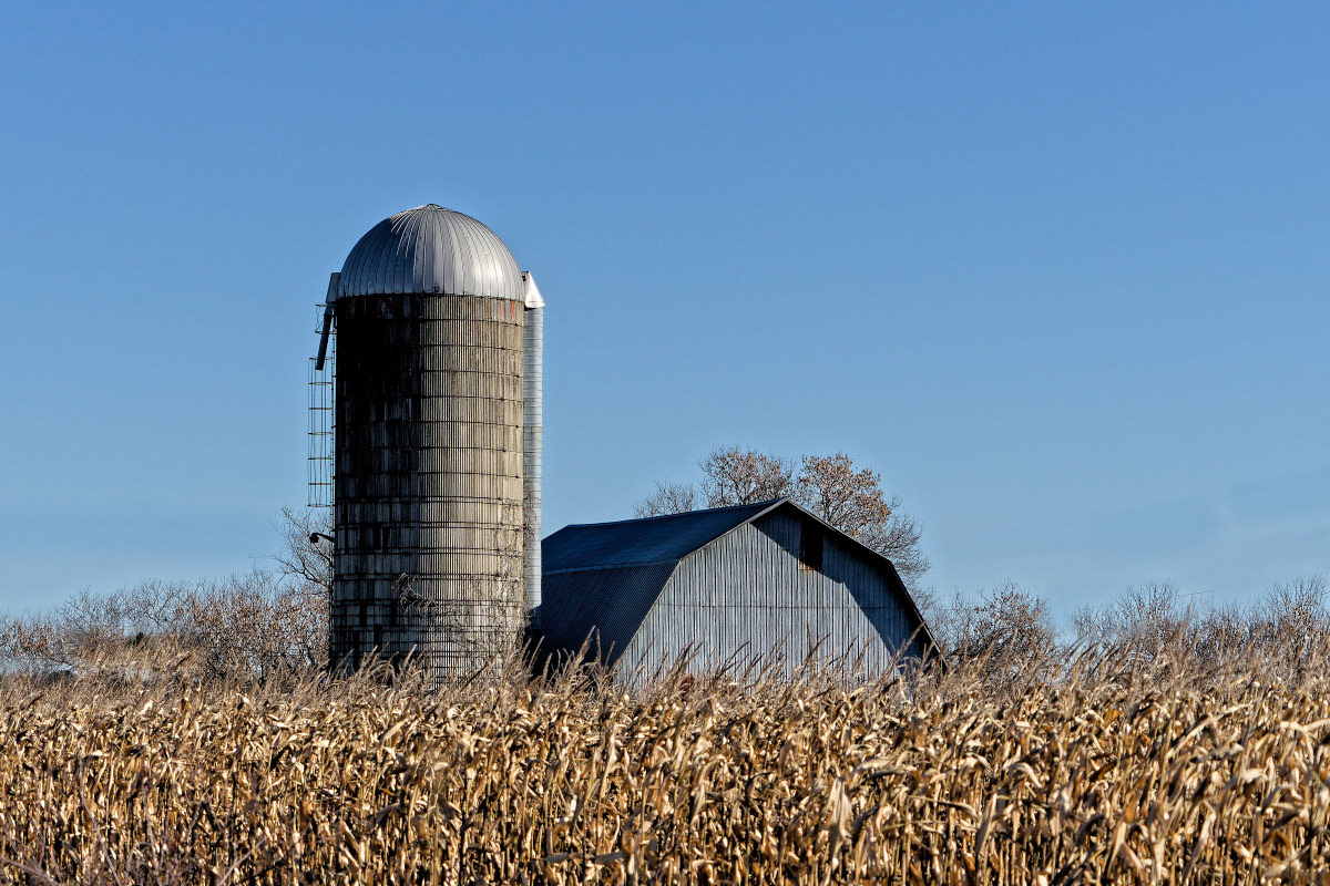 Grange Saint-Boniface - Michel Paquin