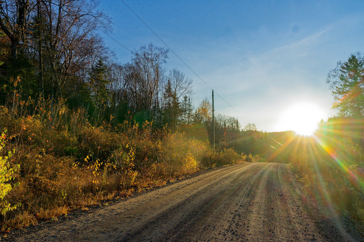 Chemin des Écoliers - Michel Paquin