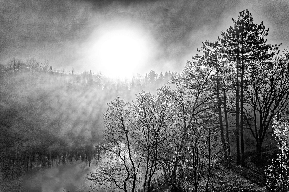 Matin d'automne - Michel Paquin