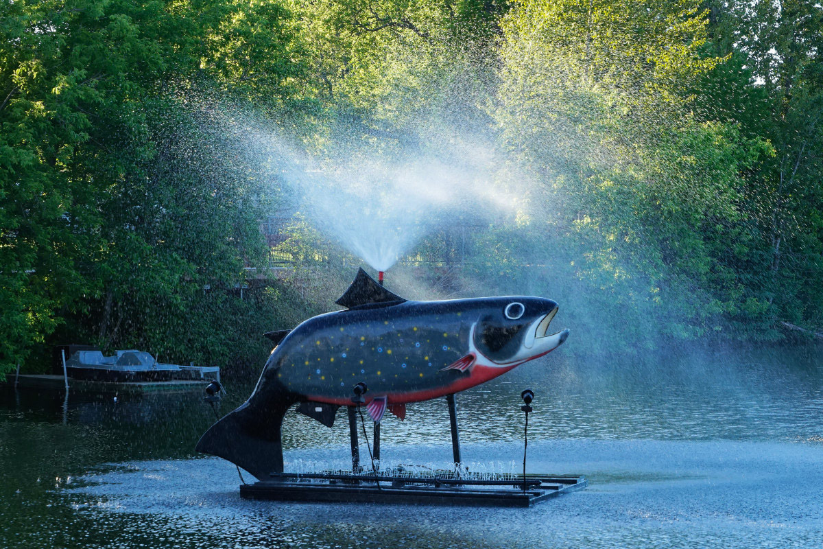 La Truite - Michel Paquin