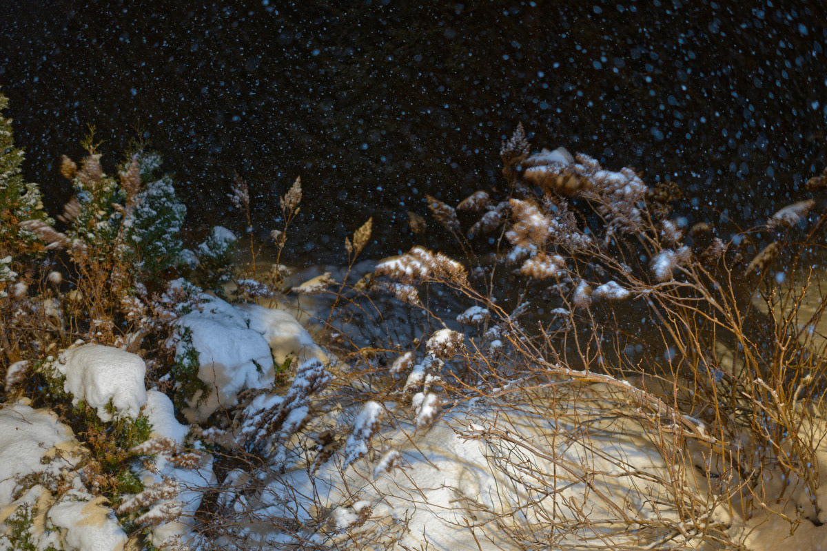 Féérie d'hiver - Michel Paquin