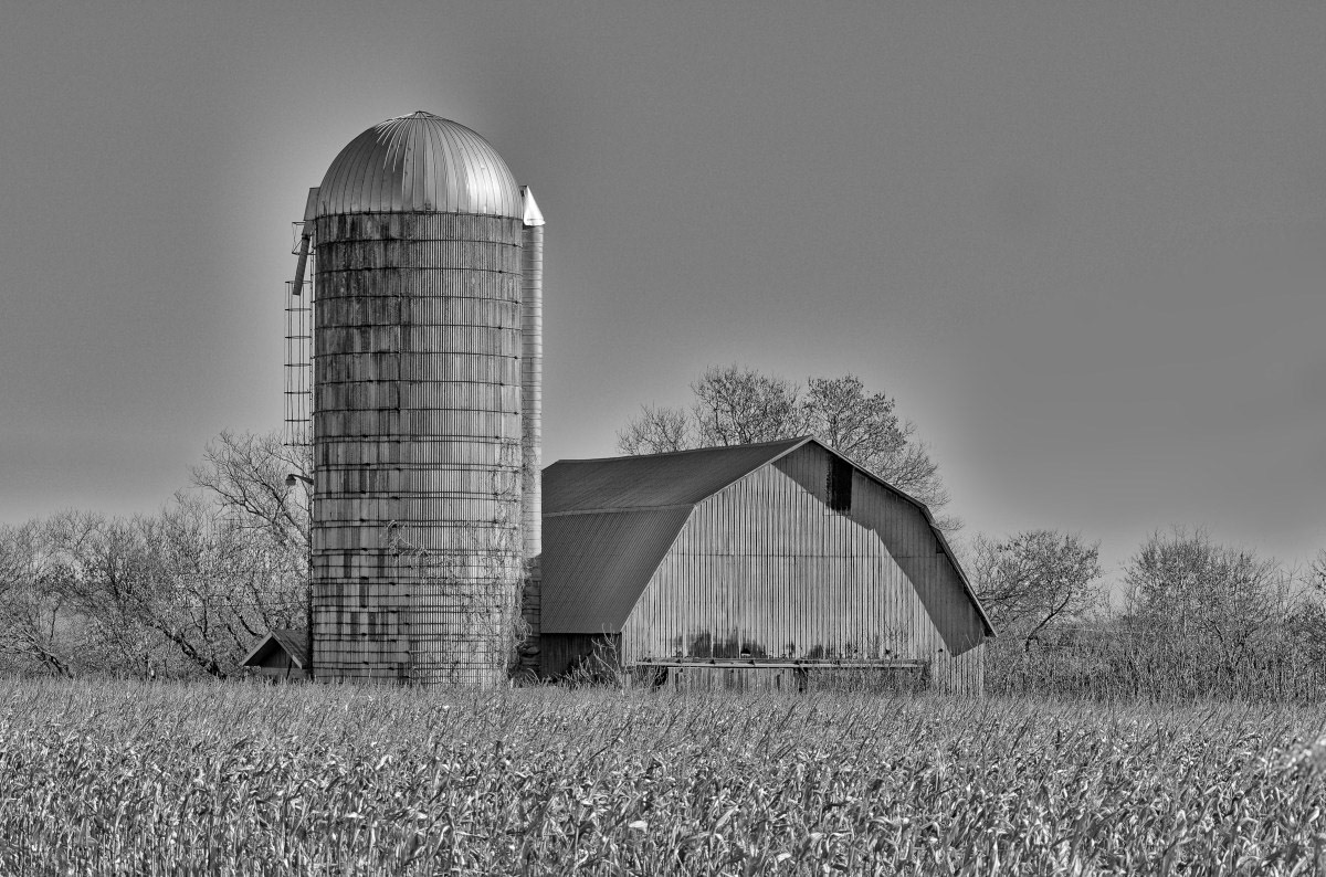 Ferme et Blé N&amp;B - Michel Paquin