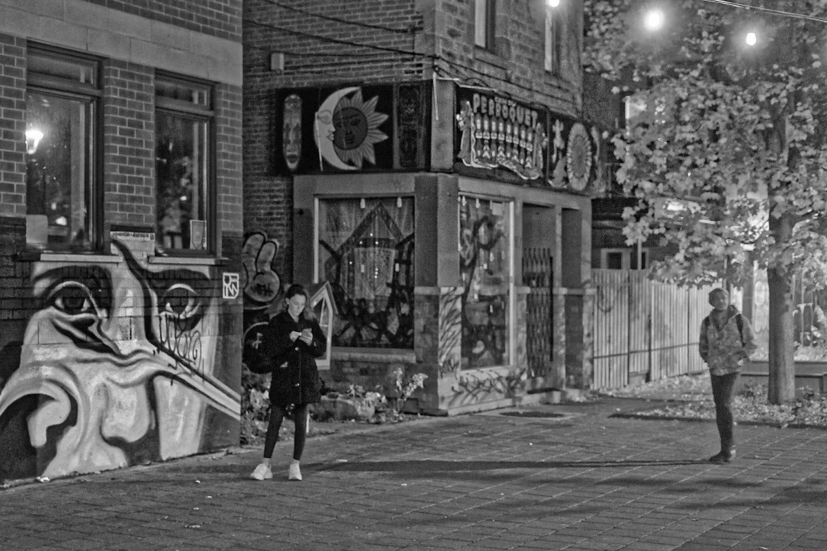 Le Perroquet - Michel Paquin