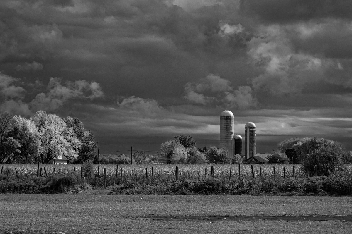 Ferme Nicolet - Michel Paquin