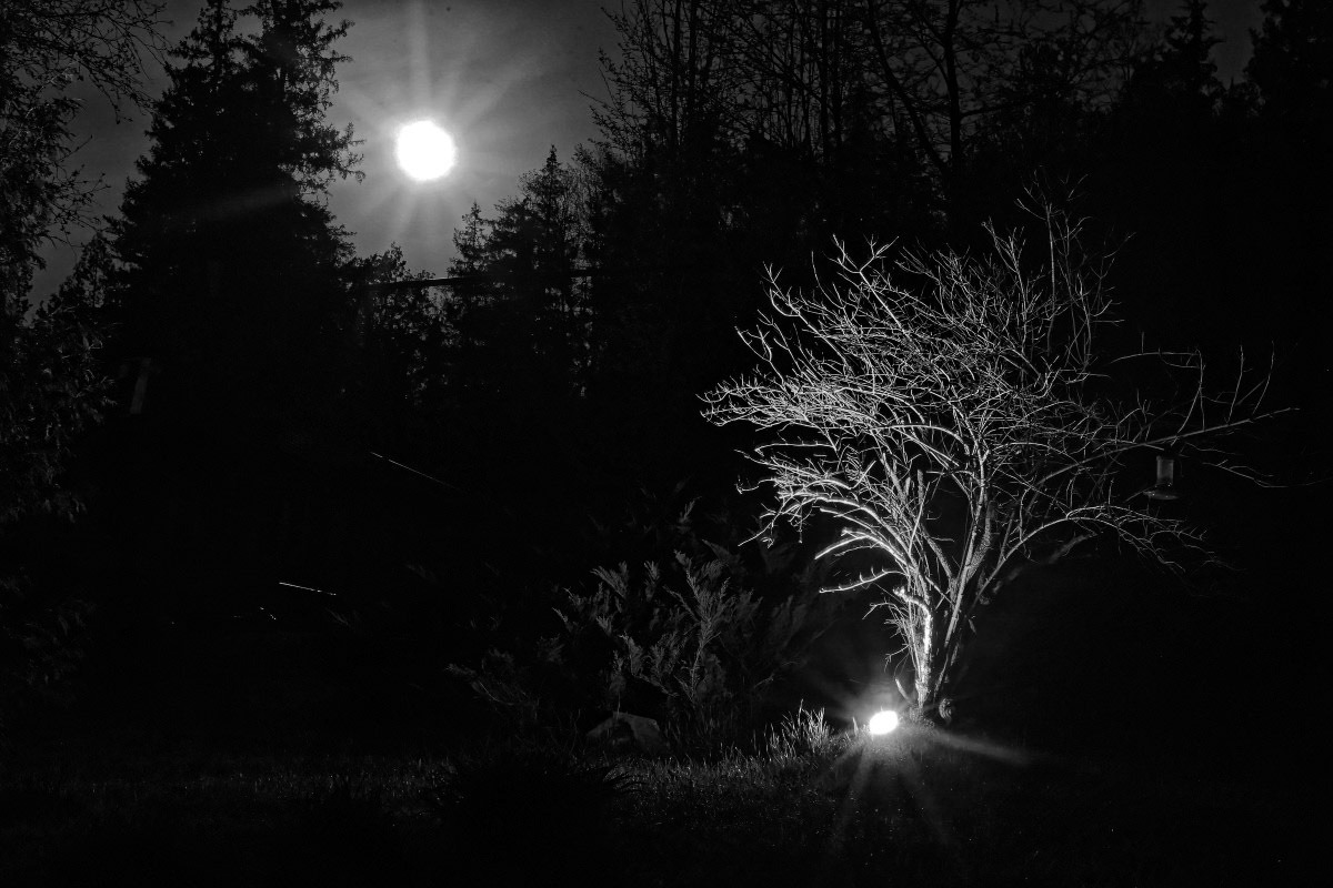 Hydranger - Michel Paquin