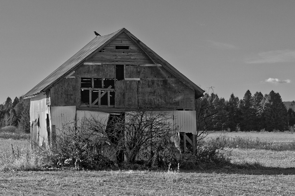 Décrépite - Michel Paquin