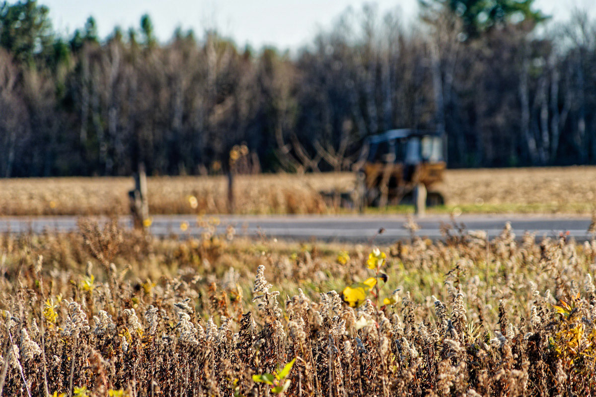 À Saint-Édouard - Michel Paquin