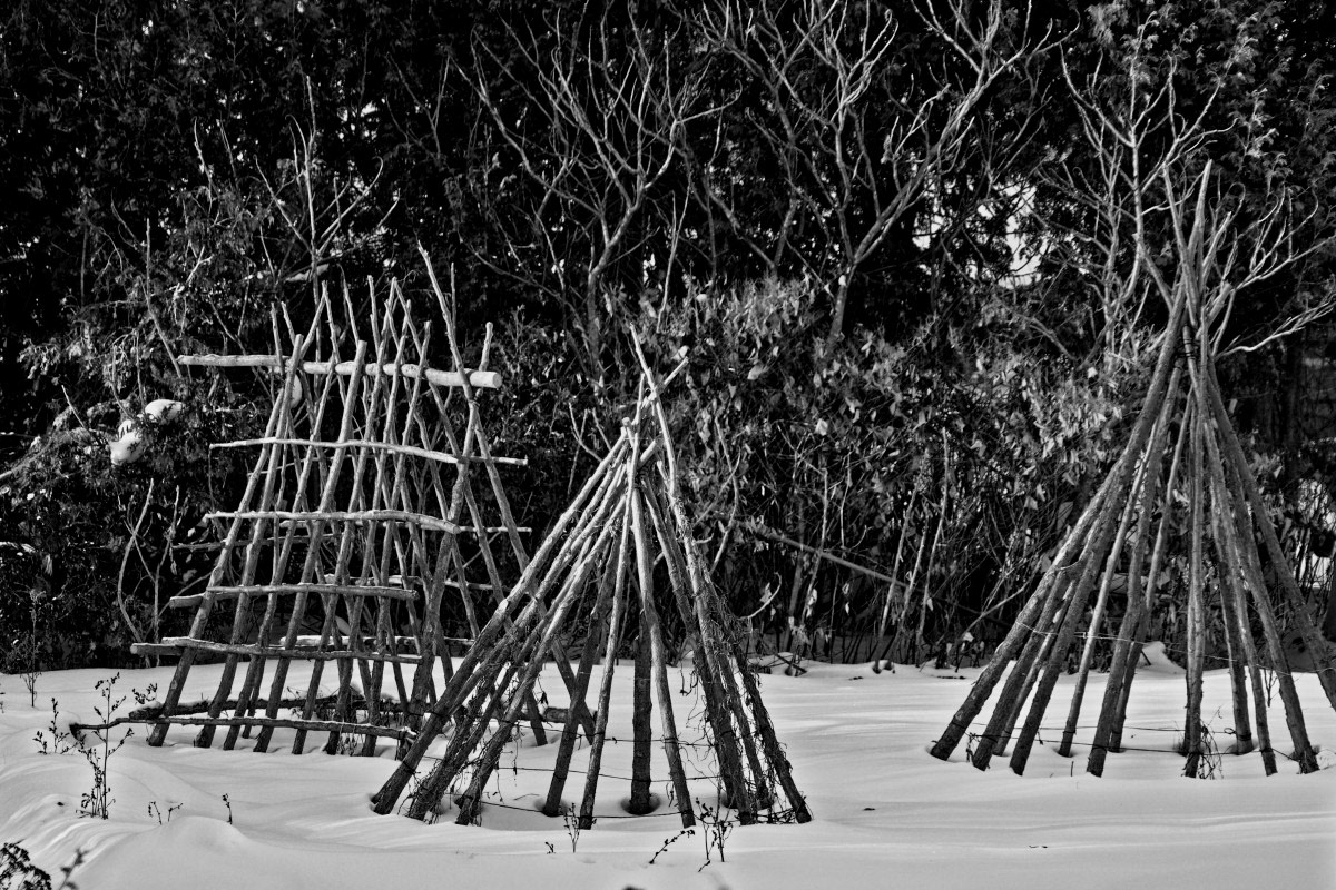 Tipees - Michel Paquin