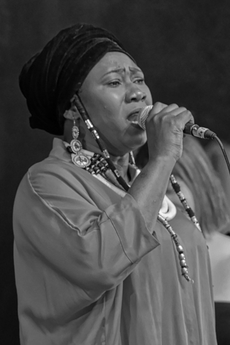 Blues au FIJM - Michel Paquin