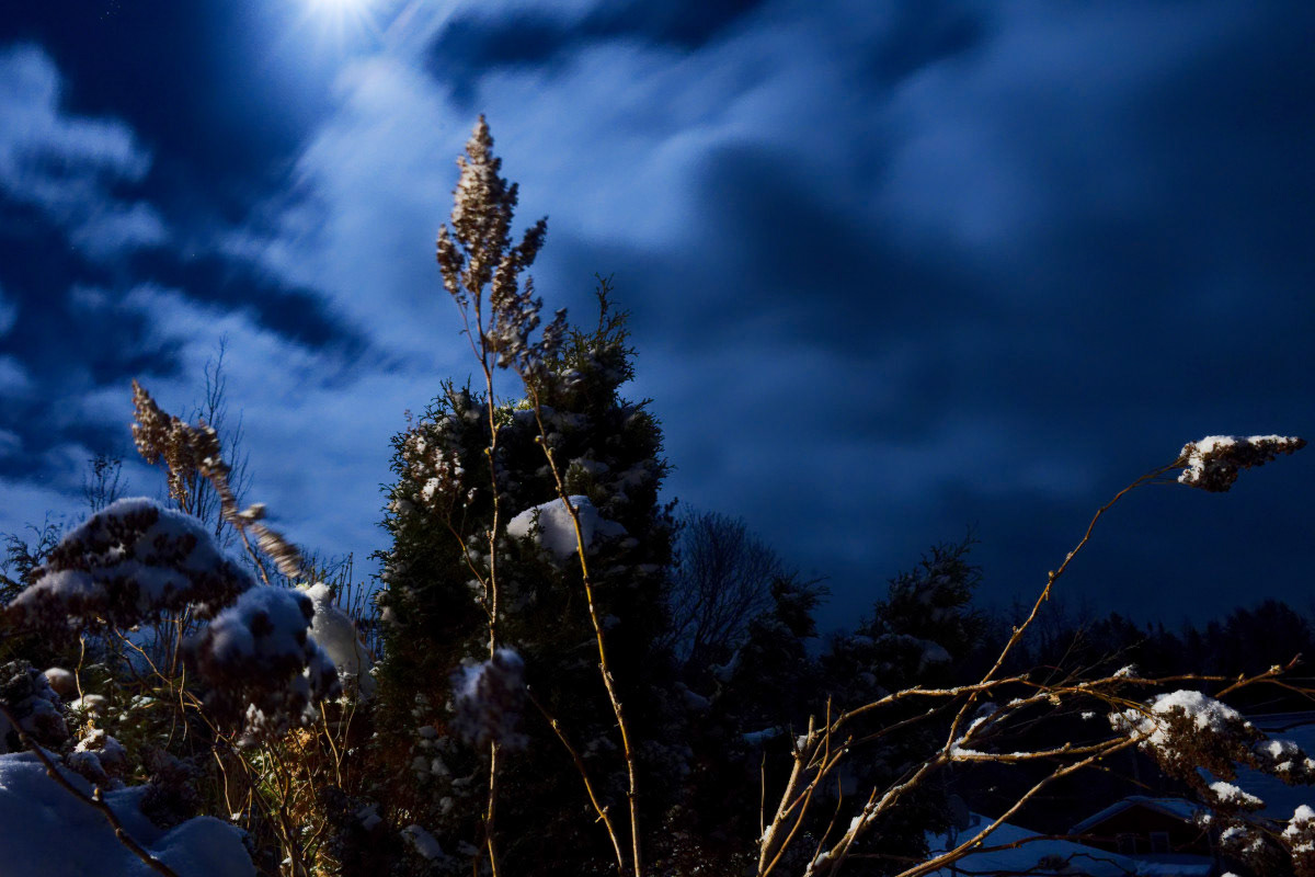 Lumière de la pleine lune- Michel Paquin