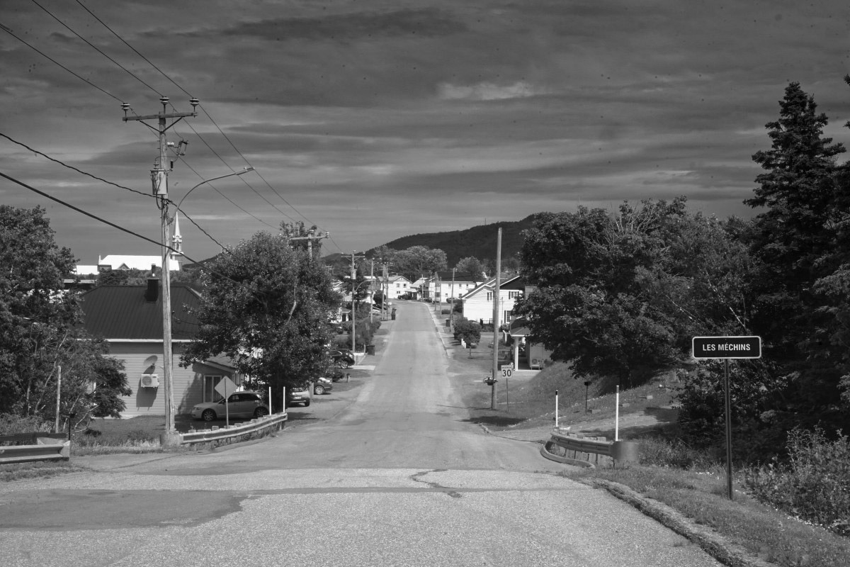 Les Méchins - Michel Paquin