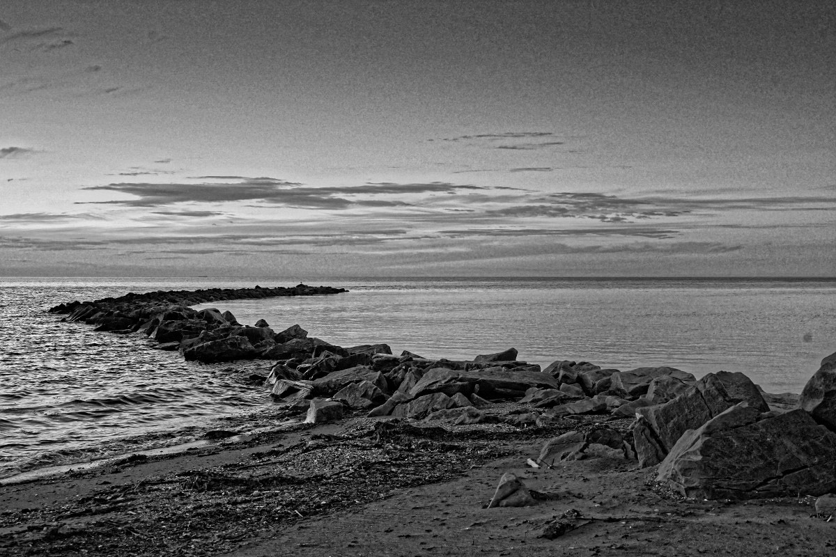 Plage  - Michel Paquin