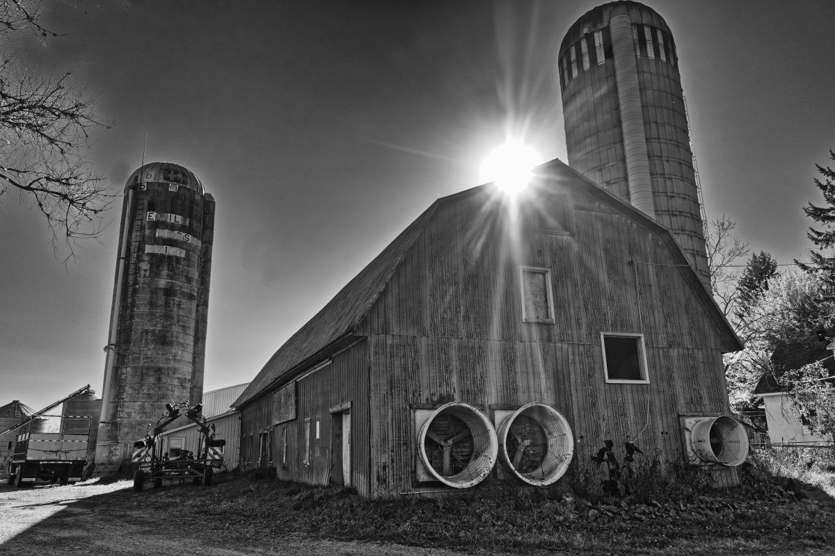 Poulailler - Michel Paquiin