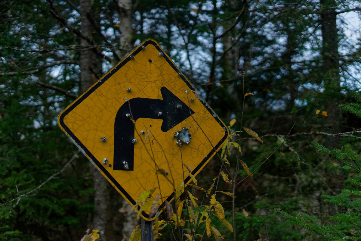Trophée de Chasse - Michel Paquin