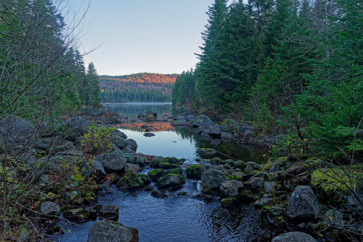 Ruisseau - Michel Paquin