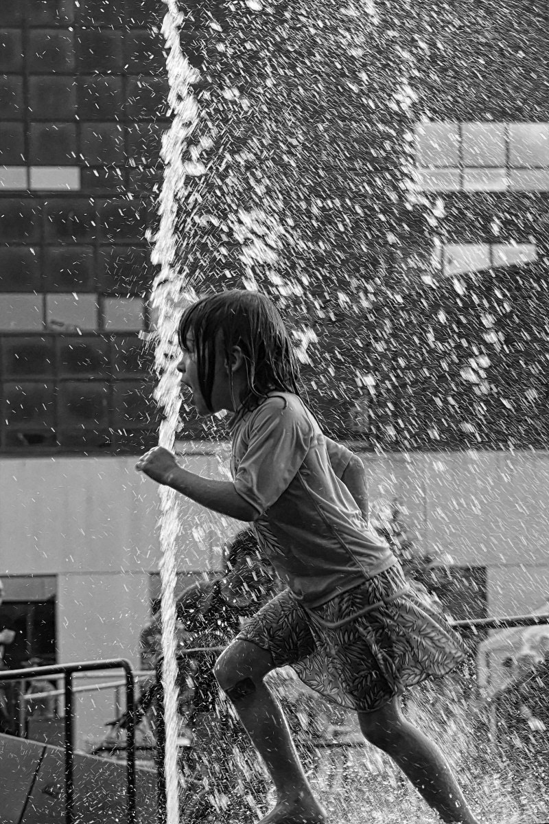 Canicule - Michel Paquin