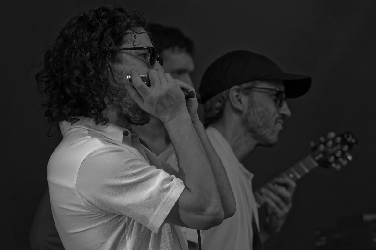 L'Harmoniciste - Michel Paquin