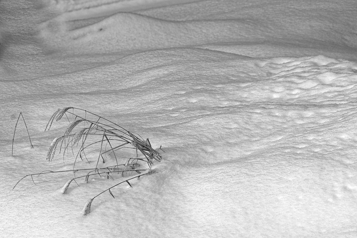 Émergence  - Michel Paquin