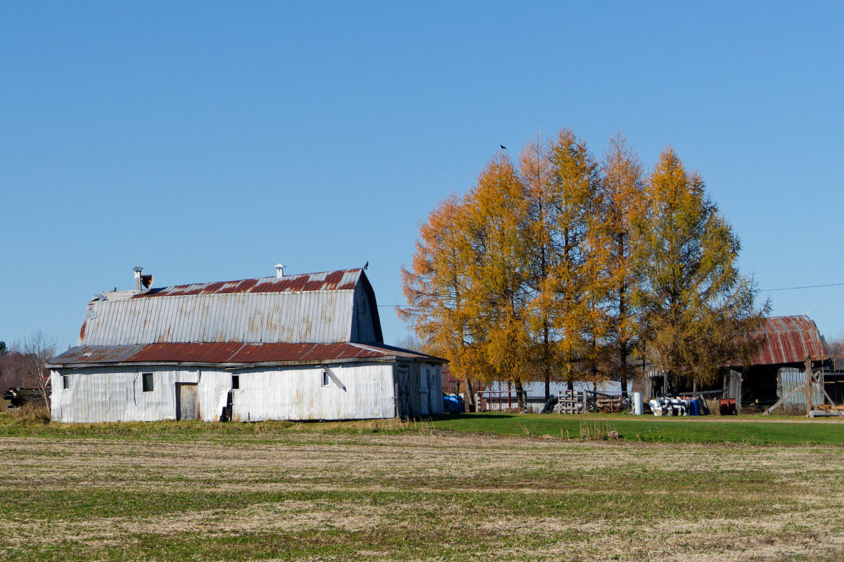 Déflaboxée - Michel Paquin