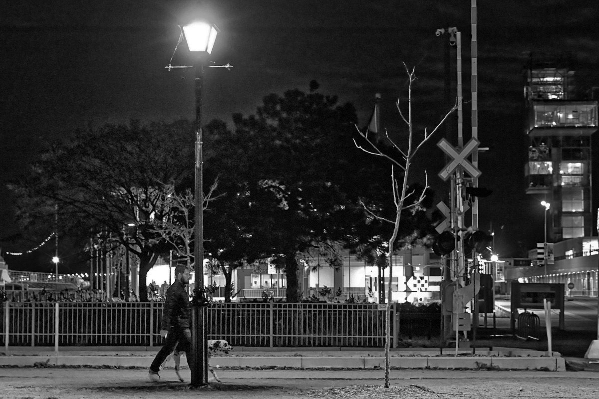 Mi-Chien - Michel Paquin