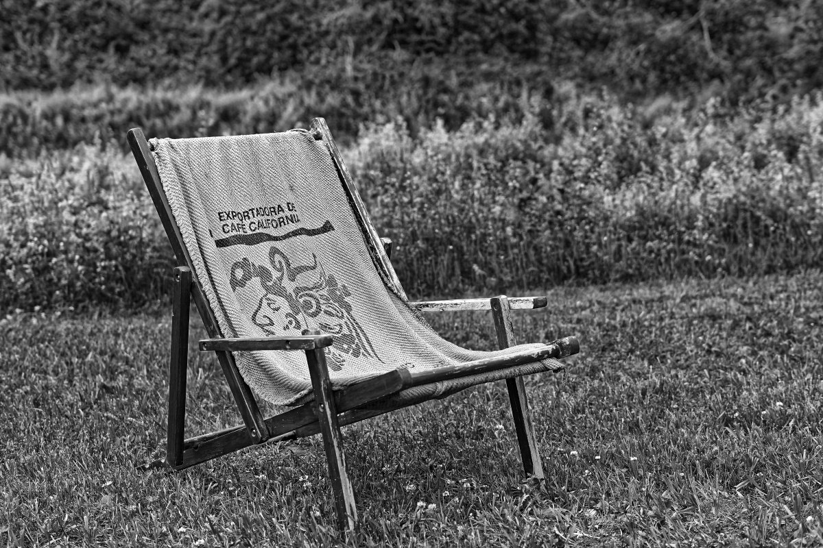 Chaise à Café - Michel Paquin