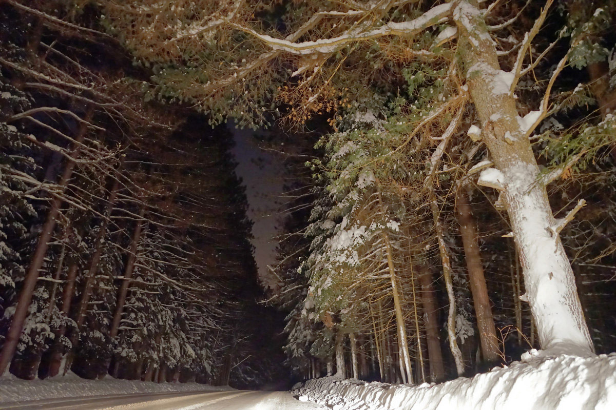 :Le Tunnel - Michel Paquin