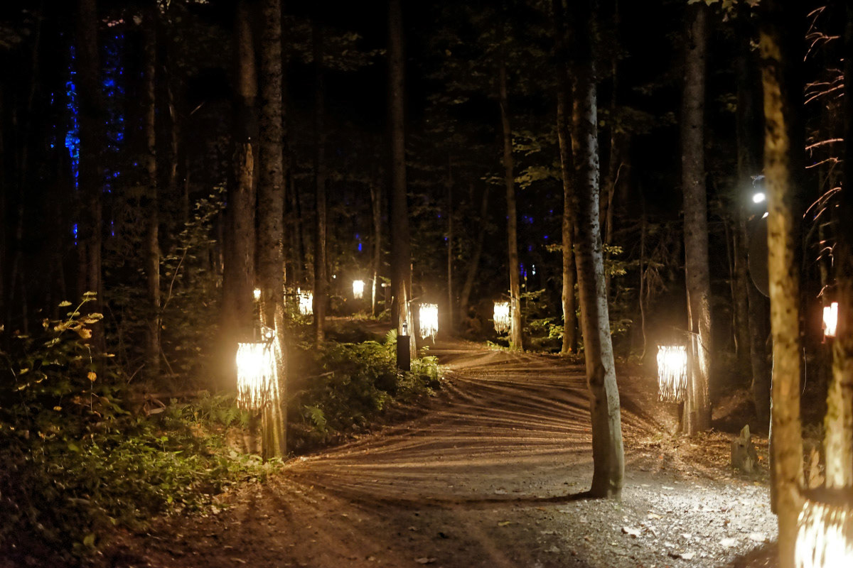 Sentien Lumineux - Michel Paquin