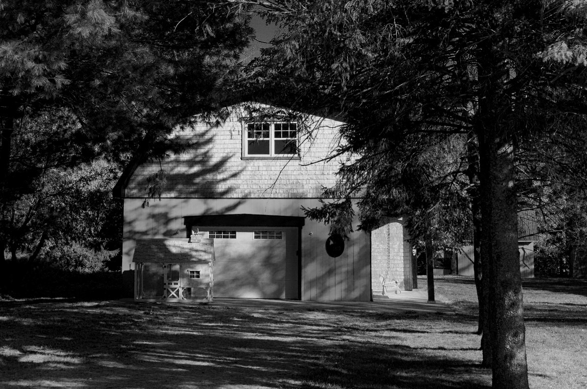 Rouge et Vert - Michel Paquin