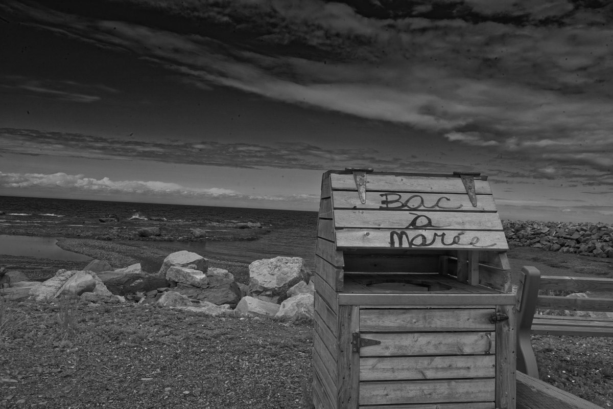 Bac à Marée - Michel Paquin