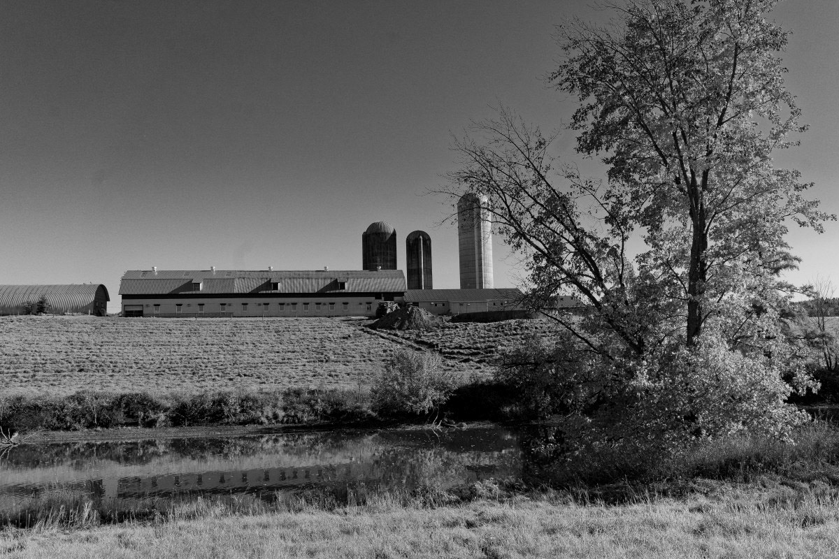 Ferme no 4- Michel Paquin