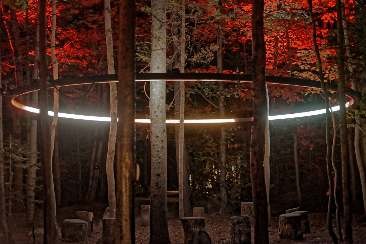 Le Cycle de la Vie  - Michel Paquin