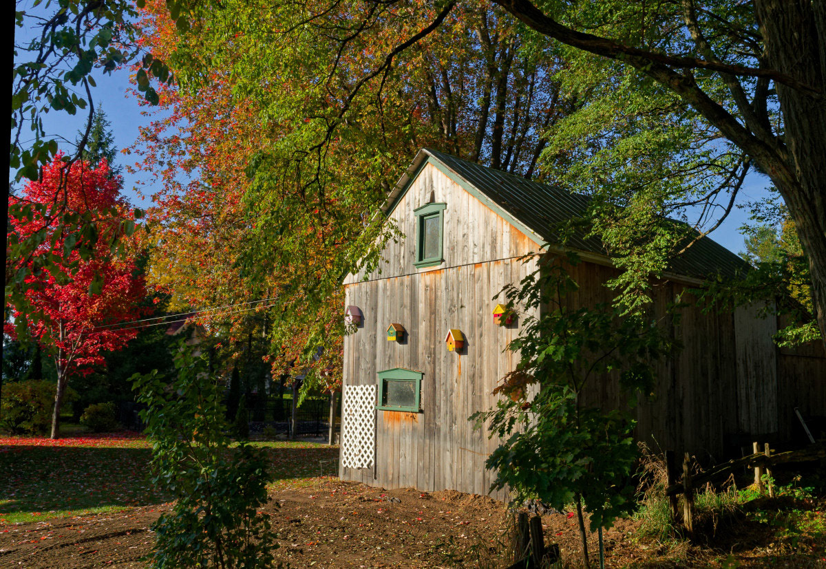 Multiplex - Michel Paquin