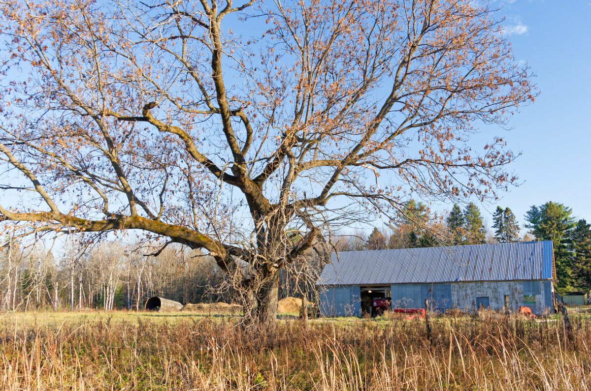 L'entrée de la caverne - Michel Paquin