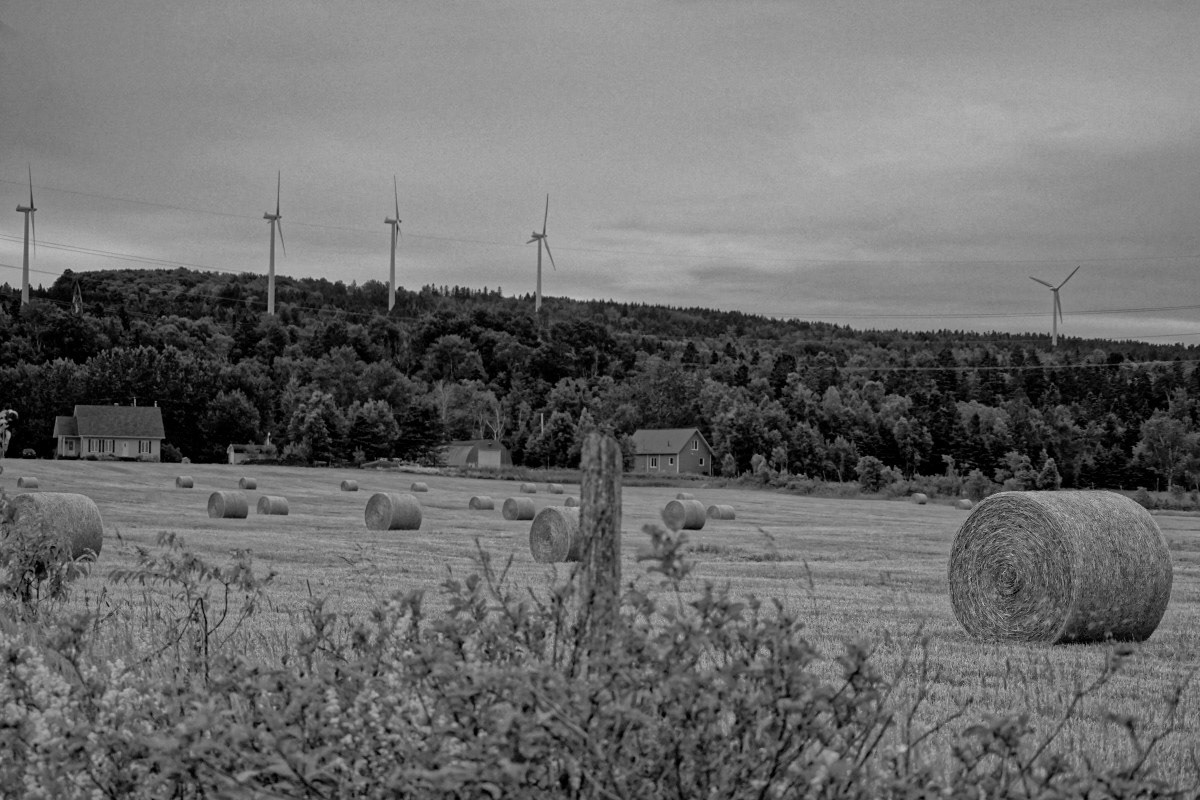 Foin et Éoliennes - Michel Paquin