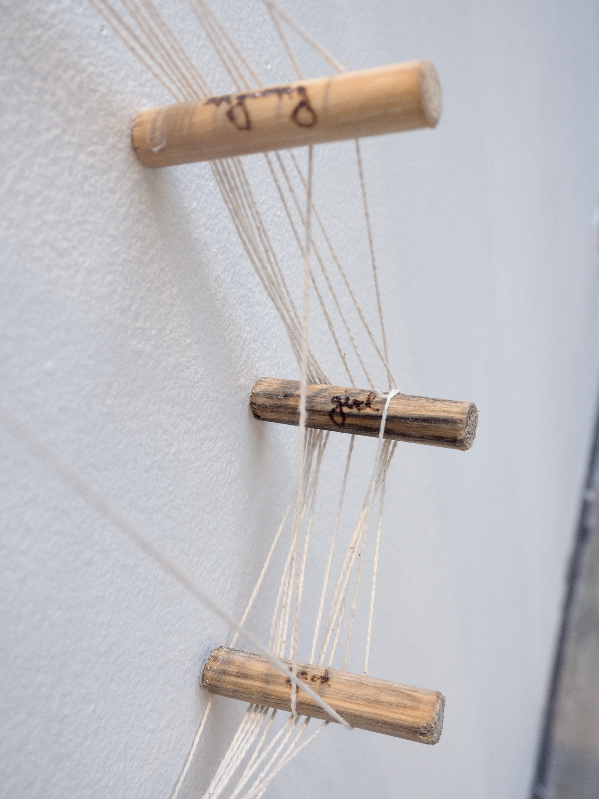 Emily Leach, Helix