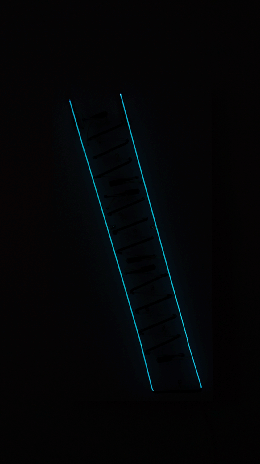 Emily Leach, Ladder