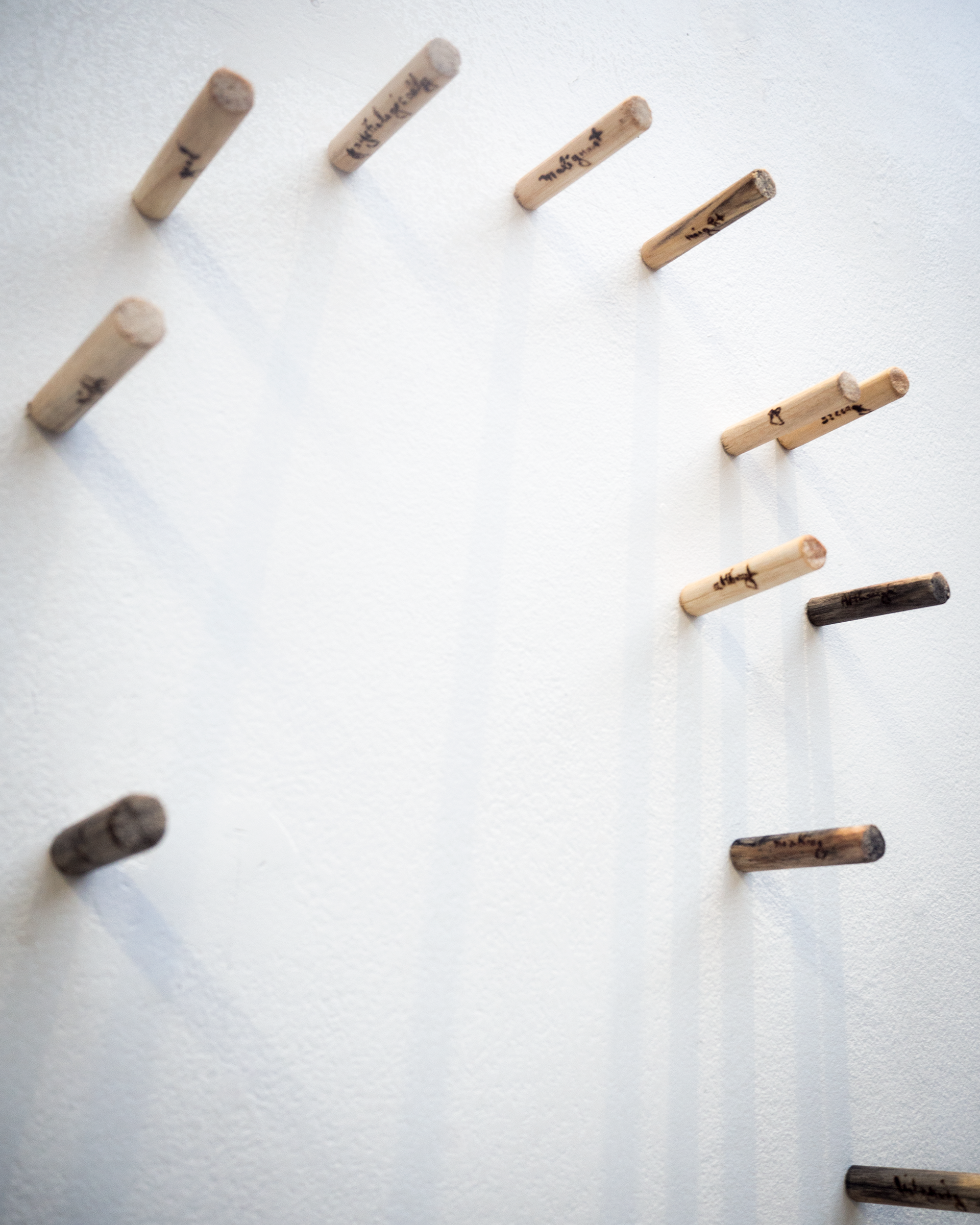 Emily Leach, Helix