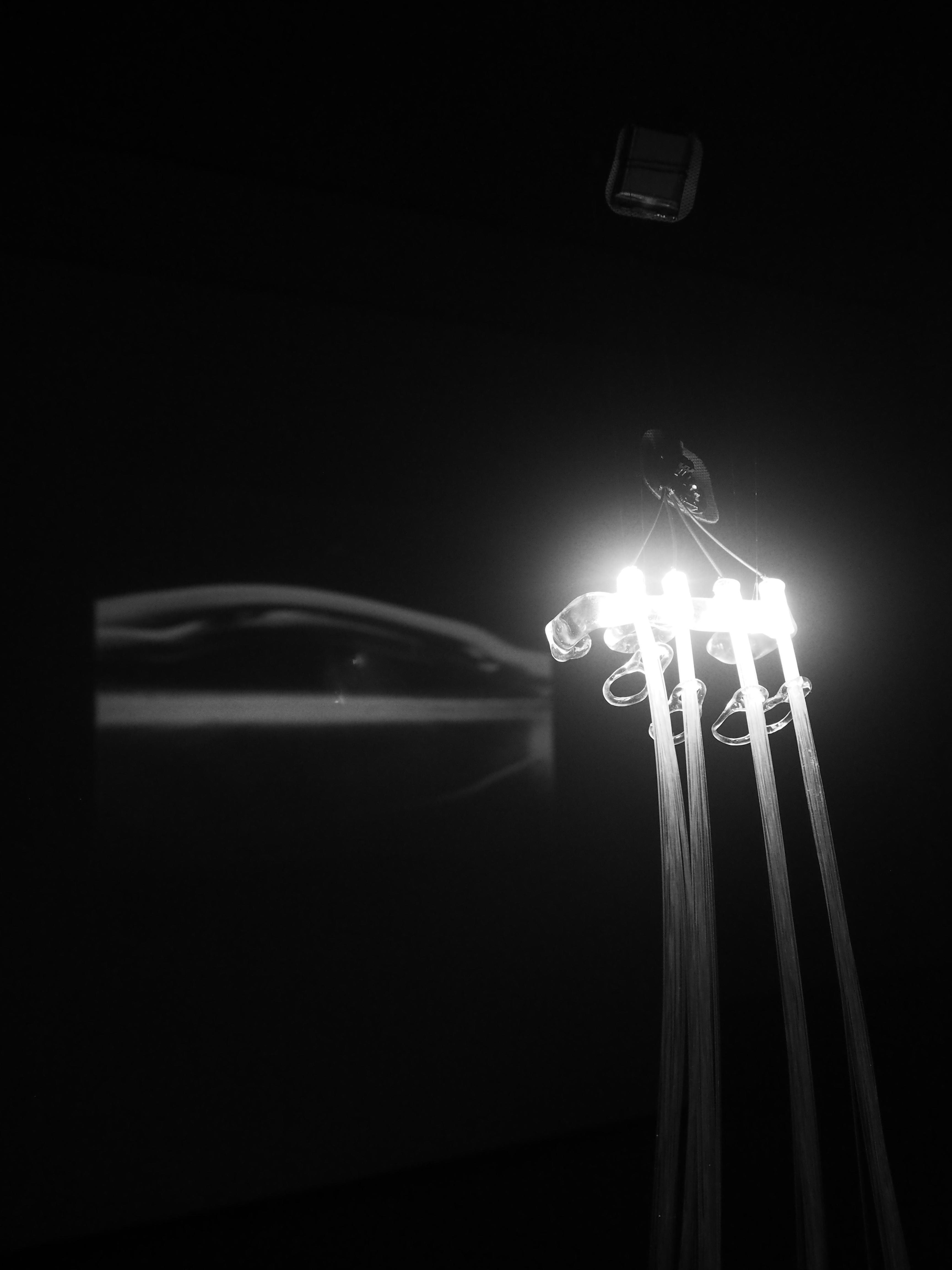 Emily Leach, Digital Communication