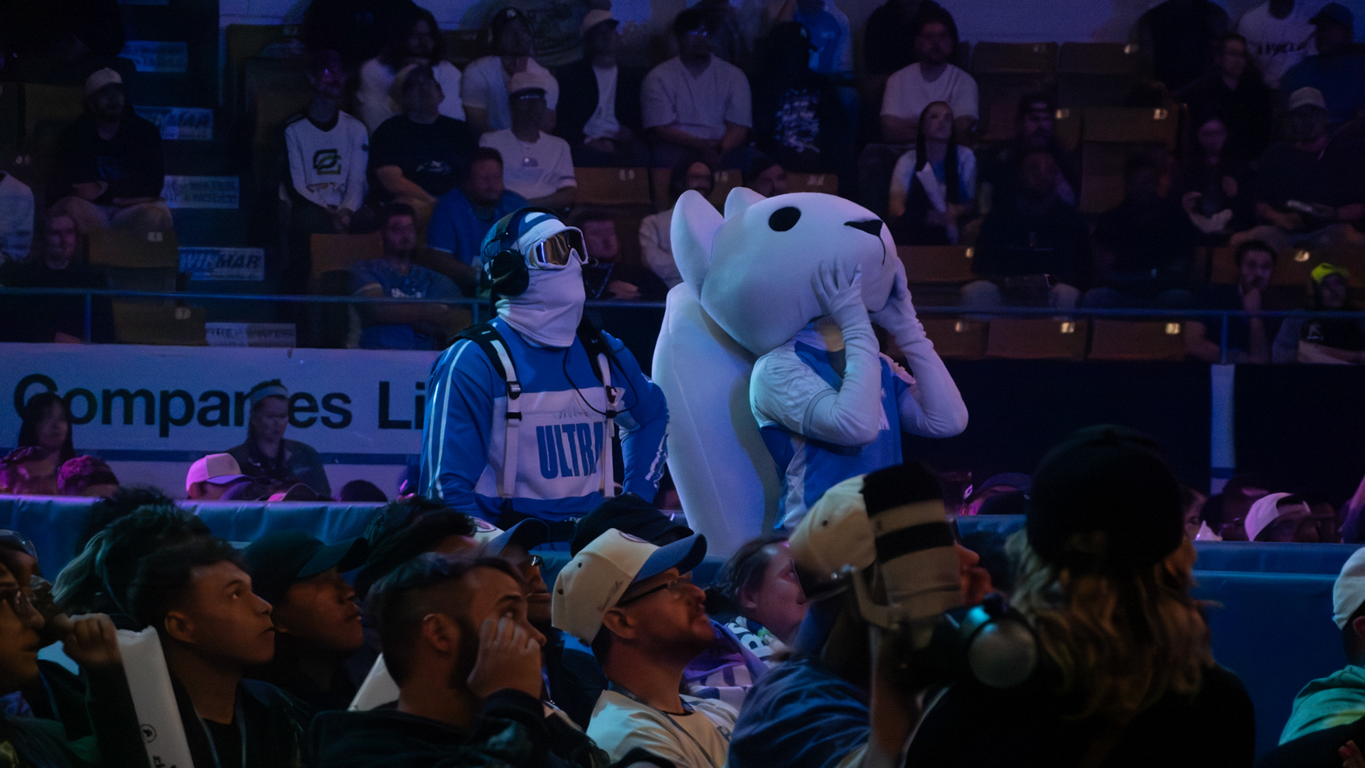 CDL Championship 2025