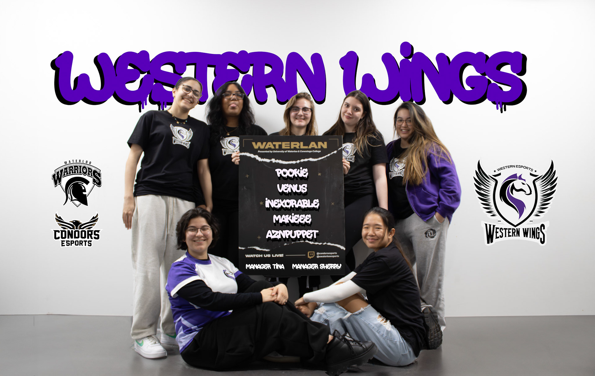 Western Wings at WaterLAN 2024