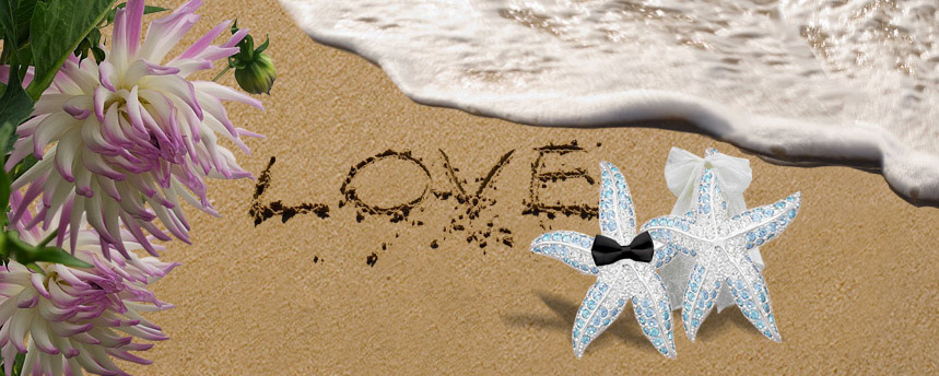 starfish bride and groom