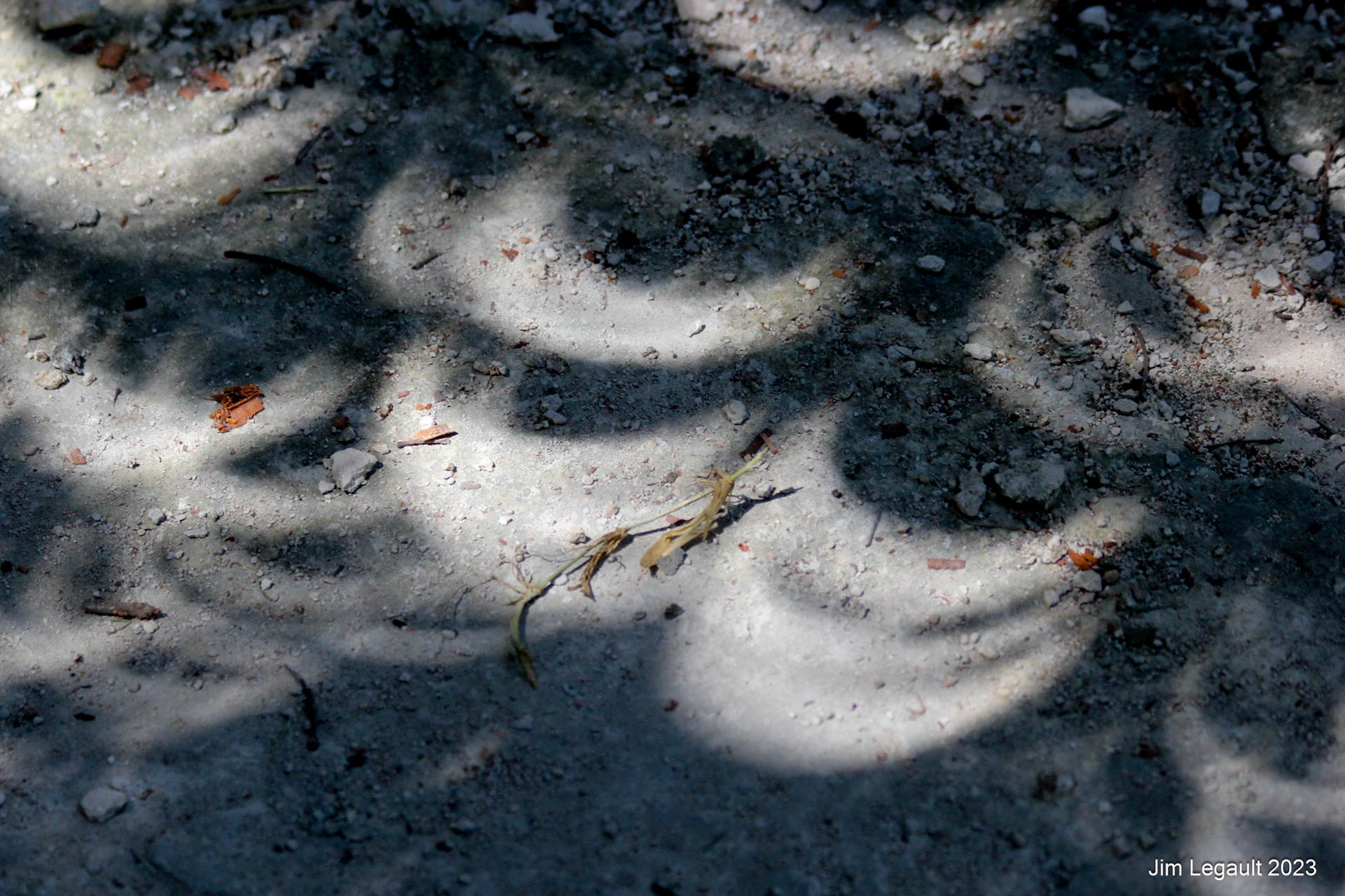 Pinhole camera image of the eclipse in Tixkokob 2023