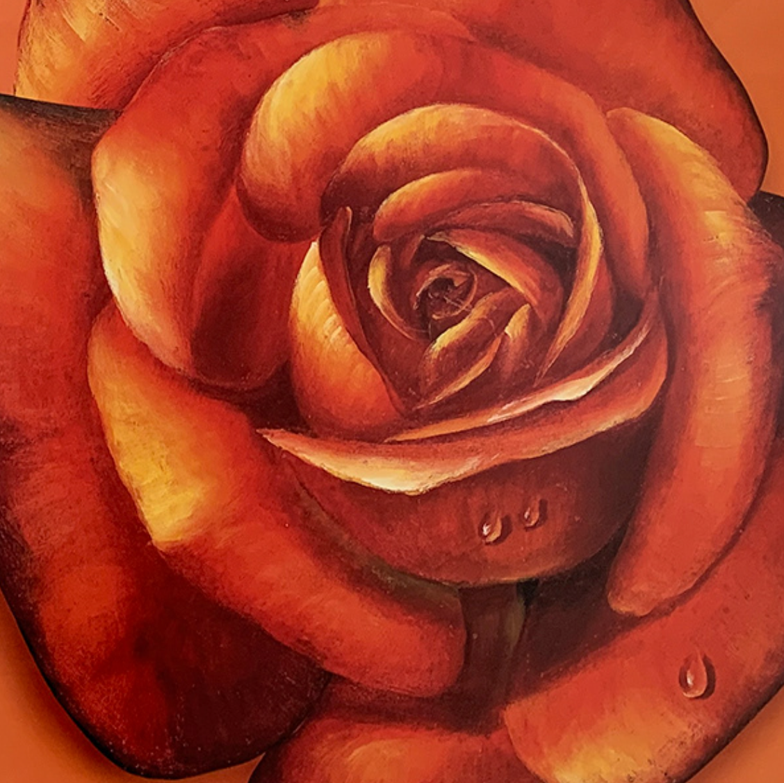 50x50 - 5Y - F06 - 24