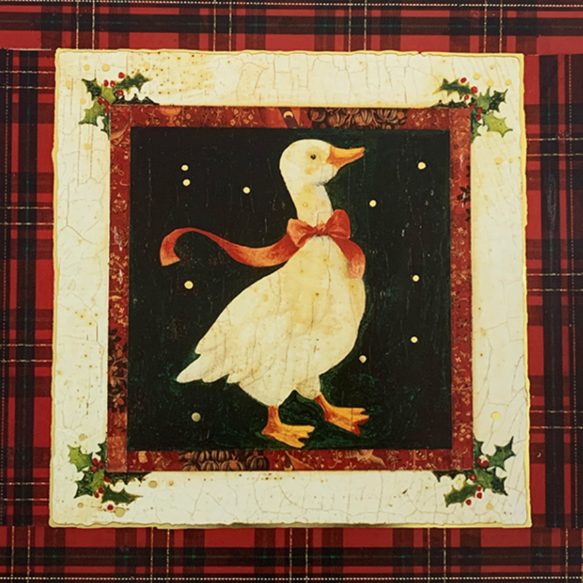 66x68 - COD: 5V - V07 - 25