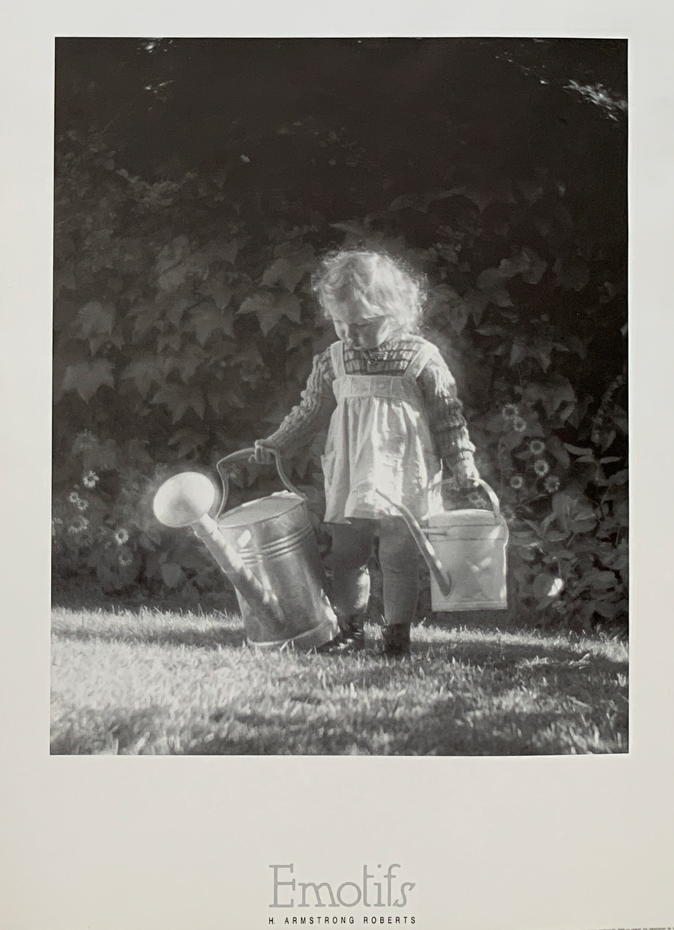 45x60 - 6HH - F01 - 18