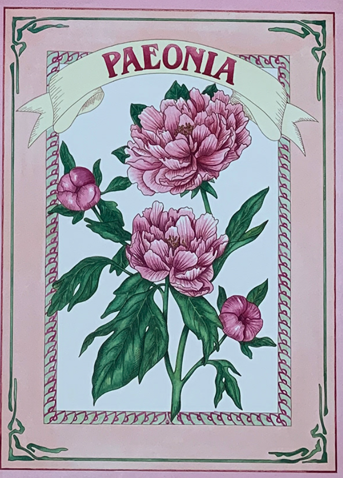 30x40 - COD: 5U - V70 - 12