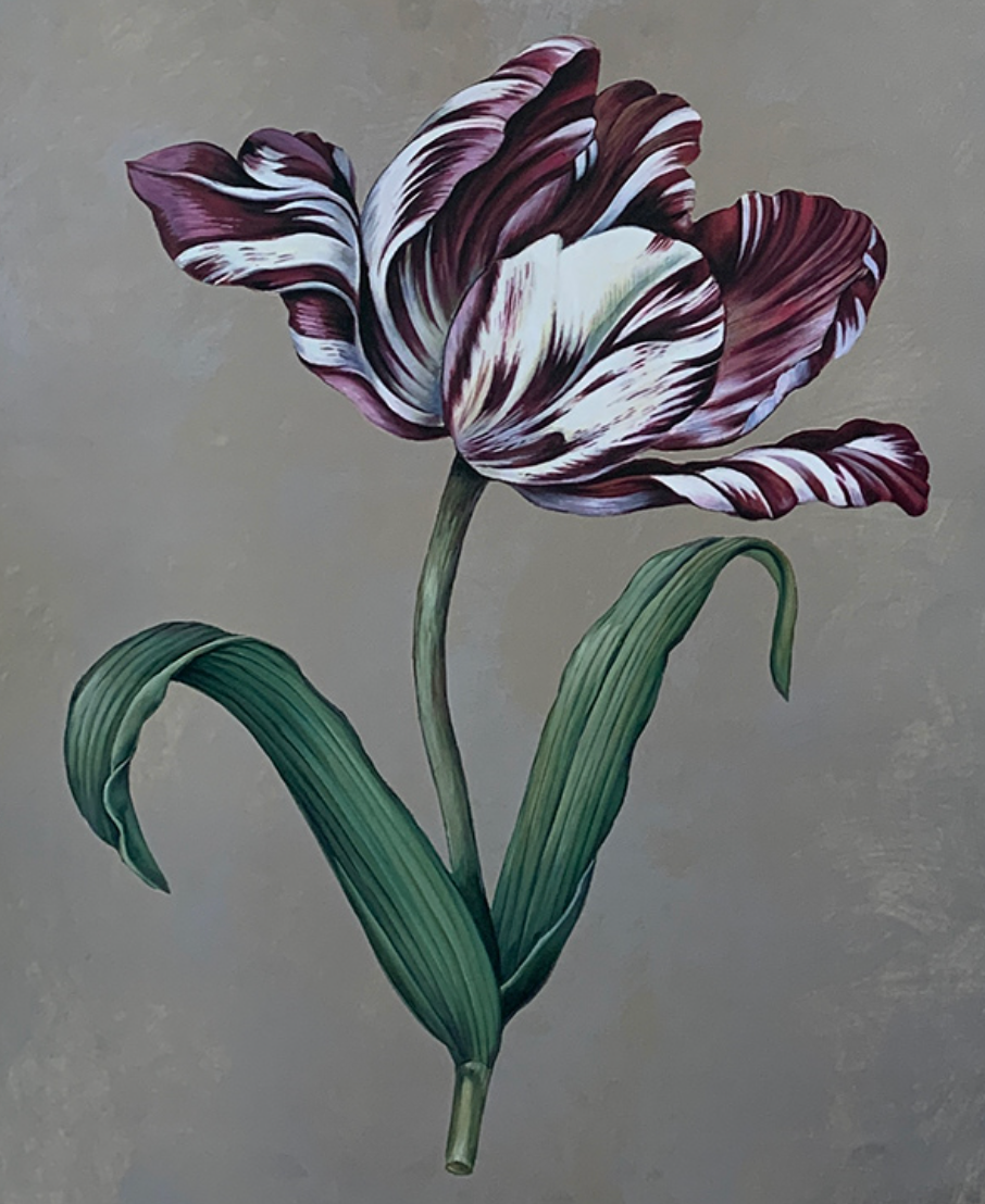 47x50 - 5Y - F12 - 36