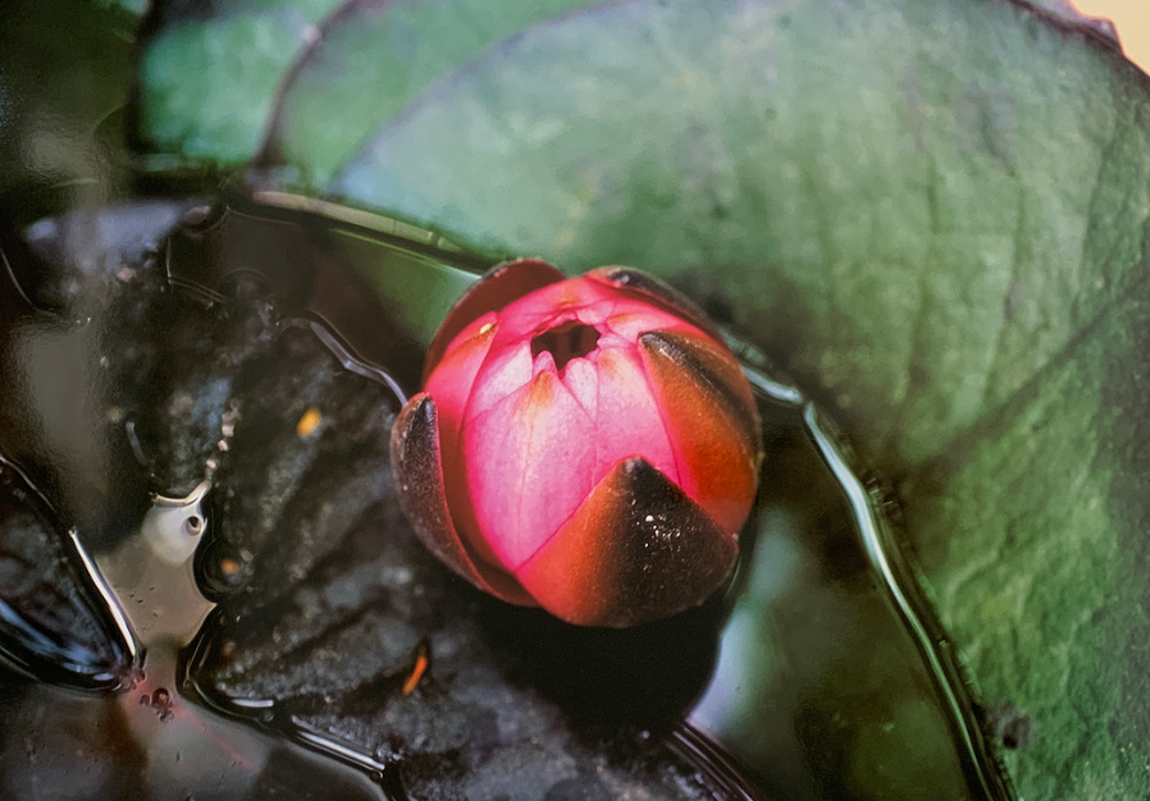 80x60 - 6DD - F21 - 18