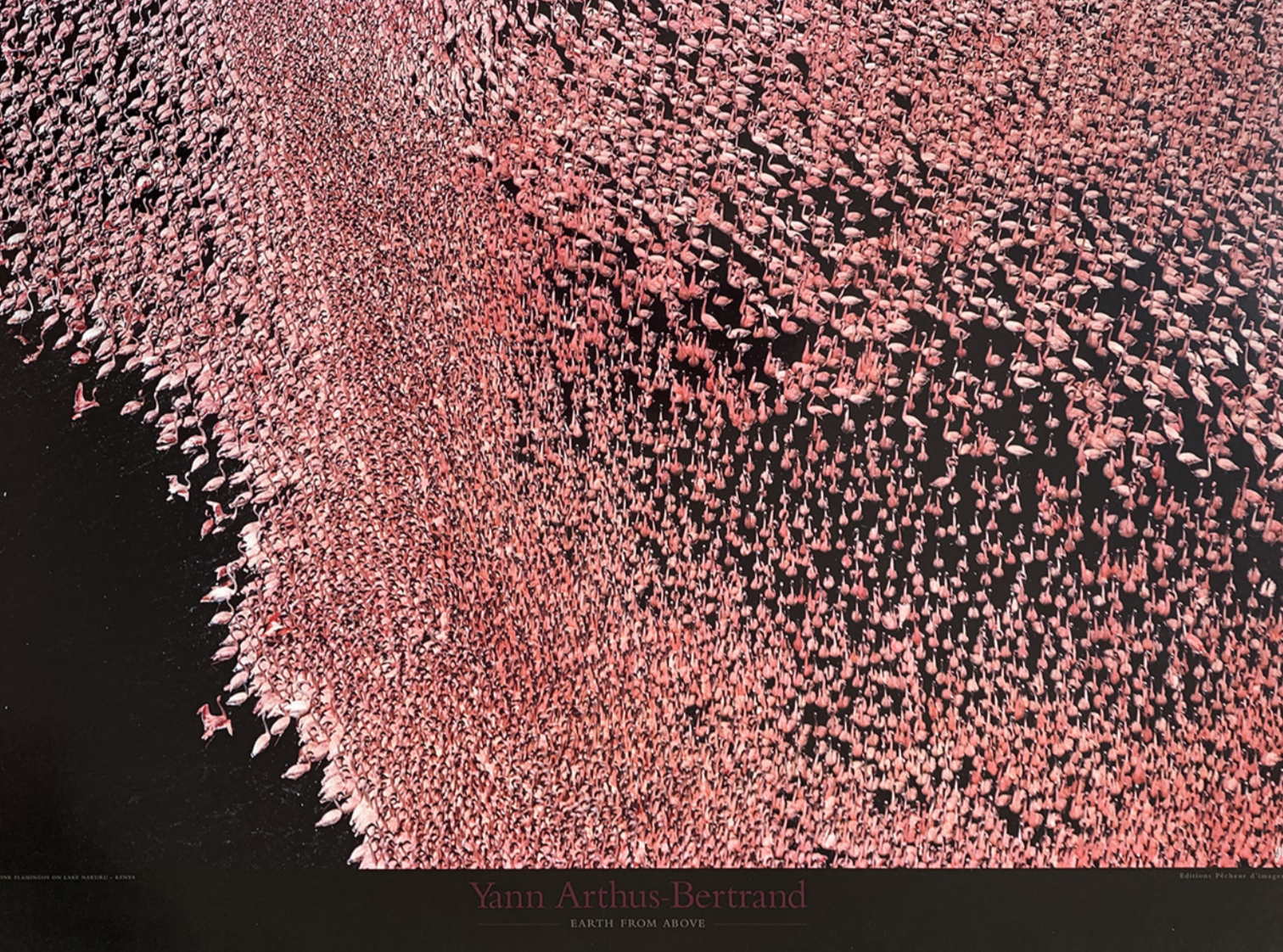 60x80 - 6DD - F07 - 18